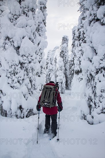 Photographer with snowshoes between snow-covered trees