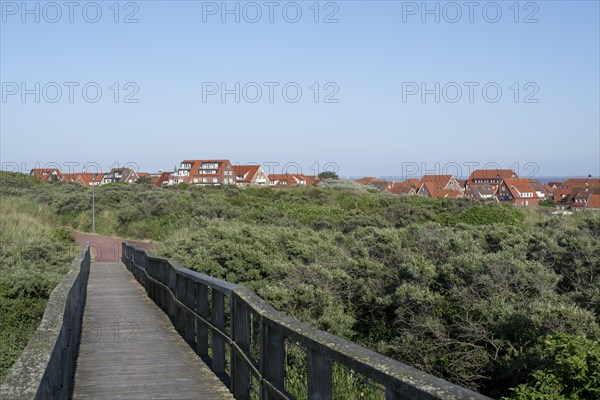 Boardwalk through overgrown dune landscape
