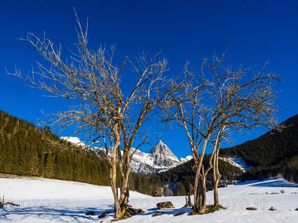 Admonter Kaibling in the Gesaeuse National Park