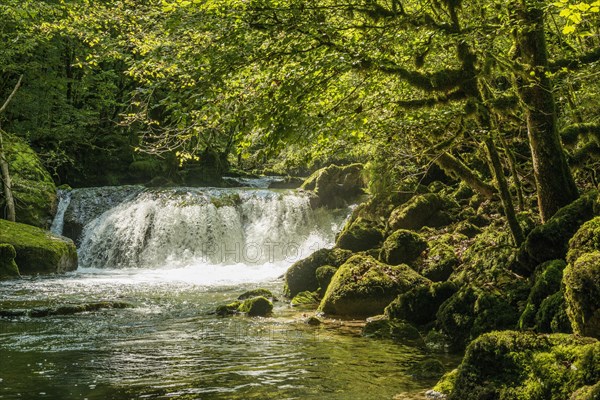 Waterfall and mossy rocks