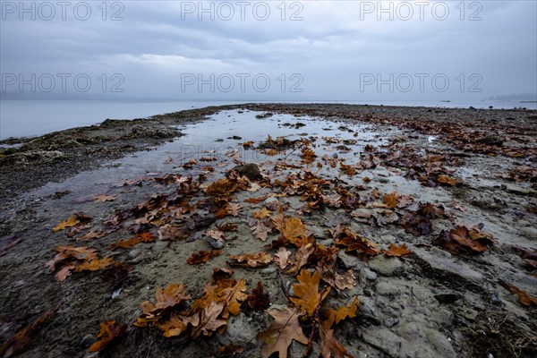 Autumn morning in the rain at Klausenhorn