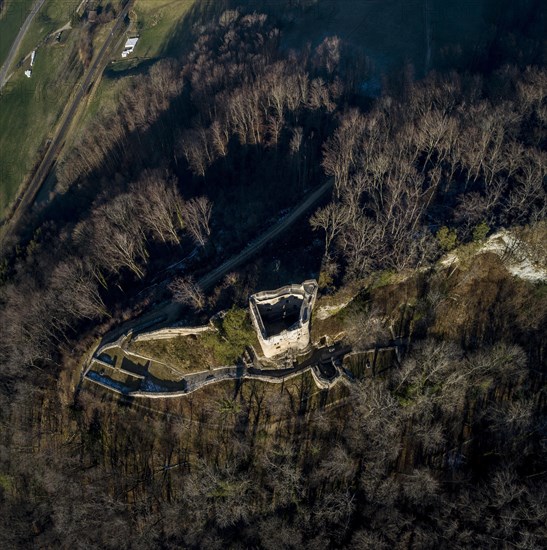 Homburg castle ruins