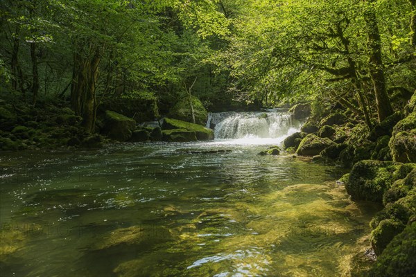 Waterfall and mossy rocks