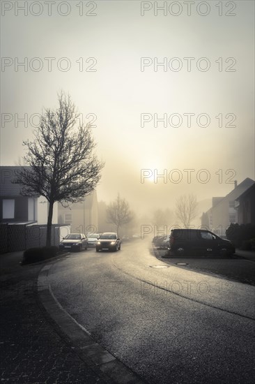 Early morning fog in a residential area with rising sun. Grevenbroich