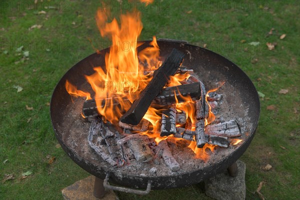 Fire bowl with burning wood fire