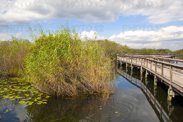 Anhinga Trail