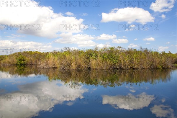 Anhinga Trail