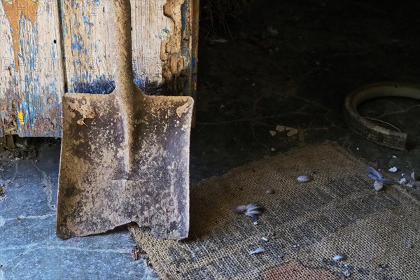 Clay shovel leaning against wooden door