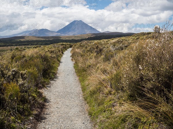 Taranaki Falls Track