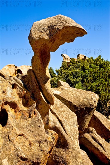 Rock Capo d'Orso