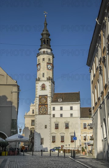 City Hall