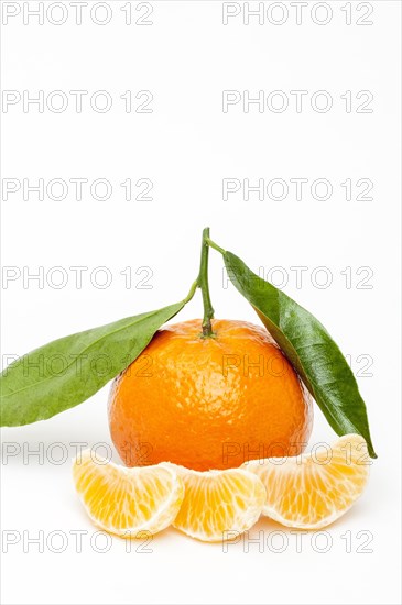 Tangerine with leaves