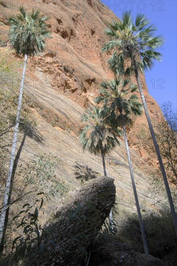 Rock formations in Purnululu National Park