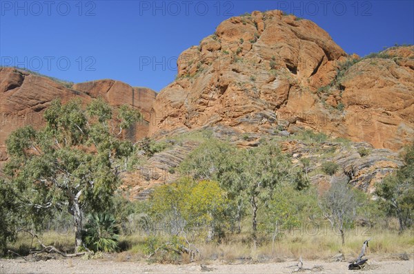 Rock formations in Purnululu National Park