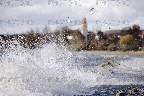 Storm Lolita whips waves against the stony shore in the background Hagnau