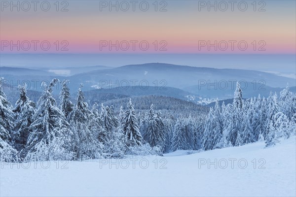 Snow Covered Winter Landscape at Dawn. Grosser Feldberg