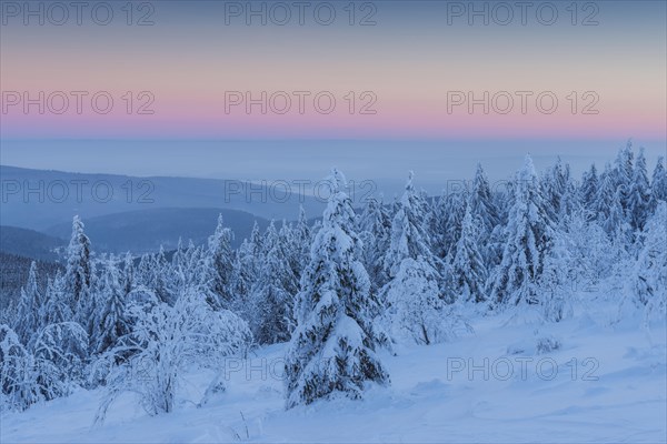 Snow Covered Winter Landscape at Dawn. Grosser Feldberg