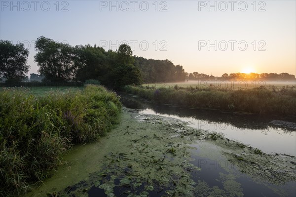 River Aller