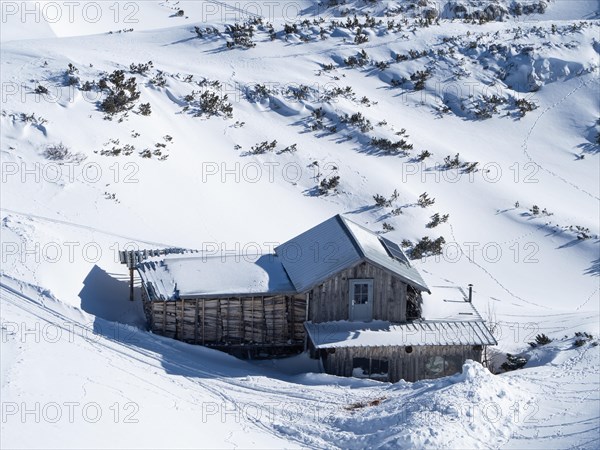 Winter landscape