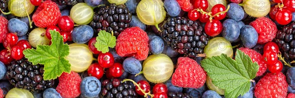 Berries Fruits Berry Fruit like Strawberries Strawberry Fresh Blueberries Blueberry from above Panorama