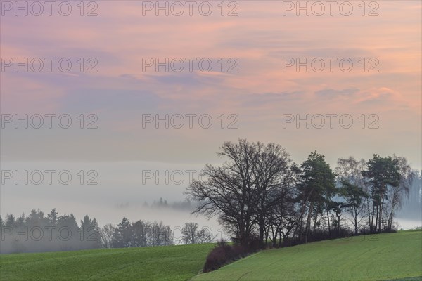 Countryside at Dawn with Morning Mist