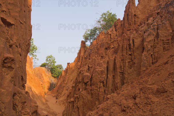 Red Canyon