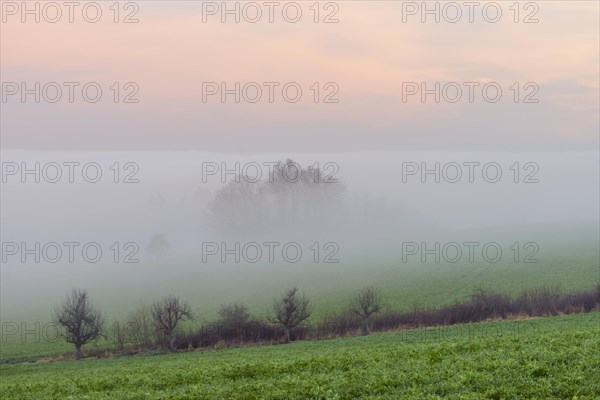 Countryside at Dawn with Morning Mist