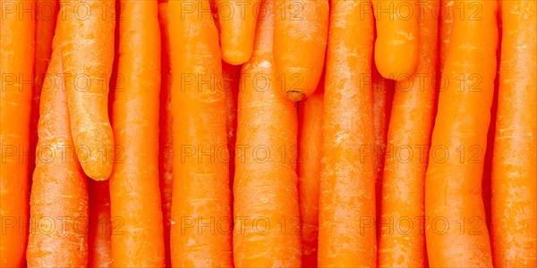 Carrots Carrot Vegetable Background From Above Panorama