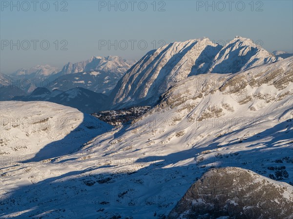 Winter landscape