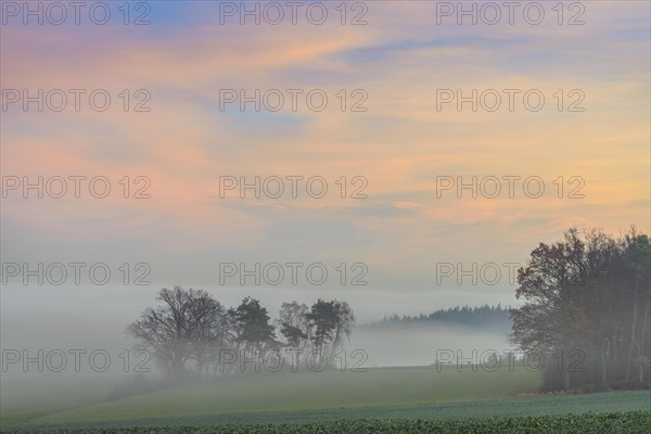 Countryside at Dawn with Morning Mist