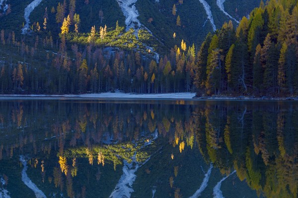 Mountainside with colorful larch trees reflecting in lake