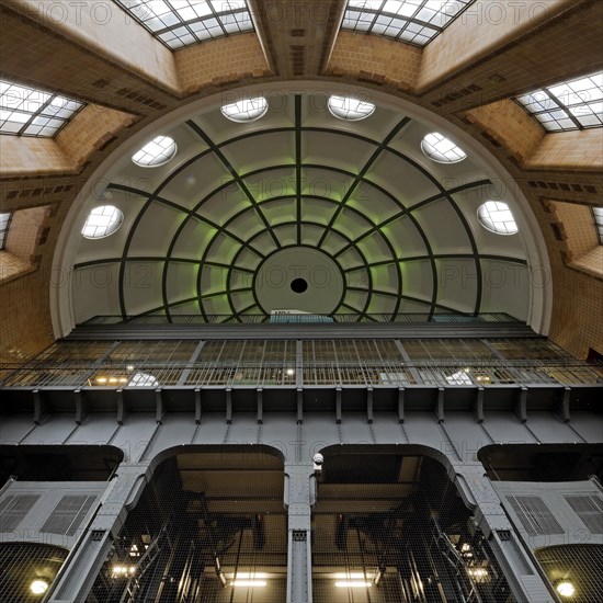View of the north dome and cages from the tunnel floor