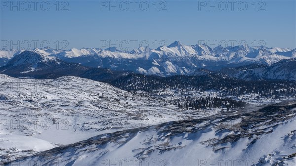 Winter landscape