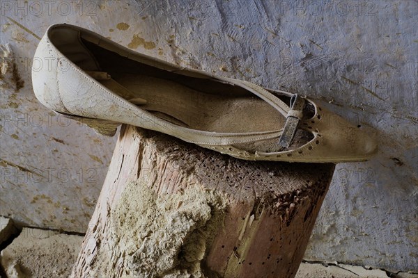 Lady's shoe with bow on wooden trunk