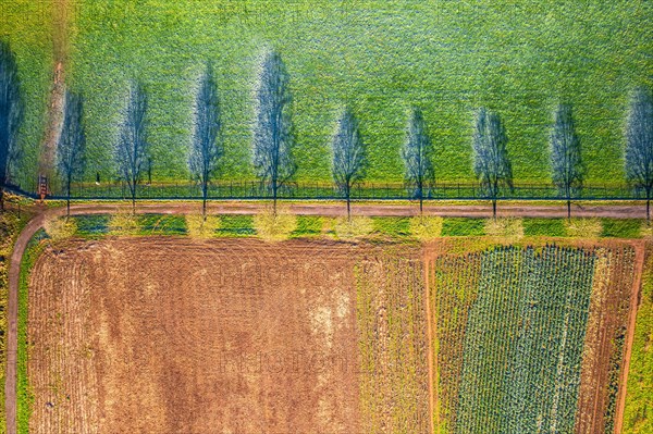 Top Down view from a drone over Fields