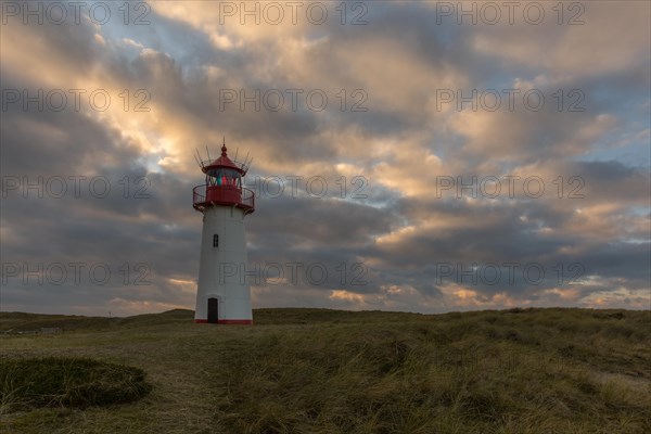 Evening at the List West Lighthouse