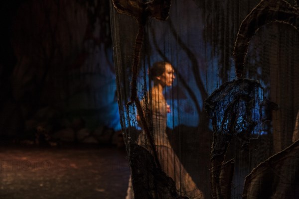 Ballet dancer through a curtain during the performance of Tchaikovsky s Swan Lake in St. Petersburg