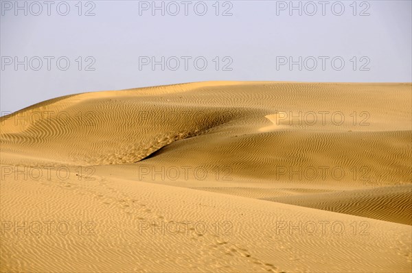 Sand dunes of the vast Thar desert near Jaisalmer