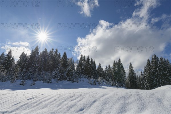 Winter landscape with sun