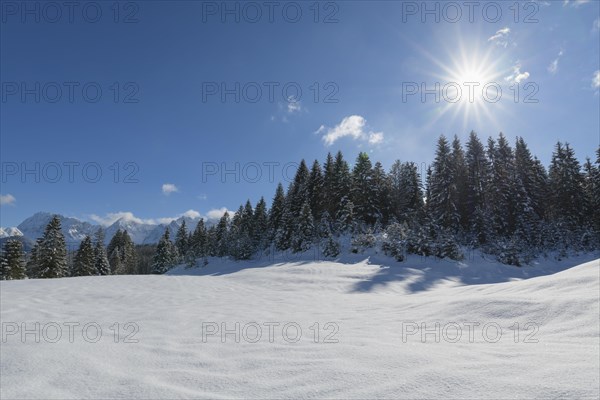 Winter landscape with sun