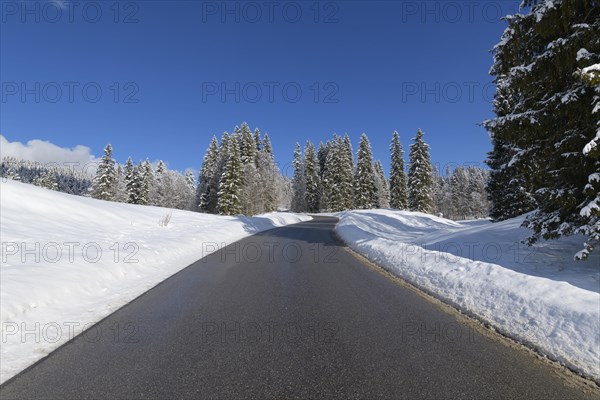 Road in winter