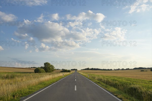 Country road with grain fields in summer