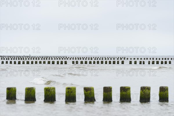 Breakwater in the sea