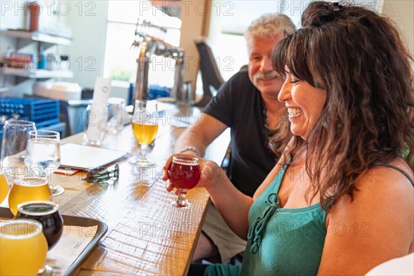 Group of friends enjoying glasses of micro brew beer at bar