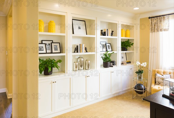 Beautiful custom shelves and cabinet built-in interior