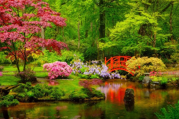 Small bridge in Japanese garden