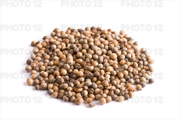 Pile of coriander close up on white background