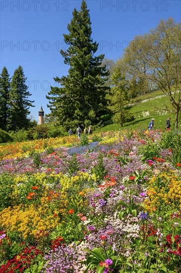 Sea of flowers with Swedish tower and tourists