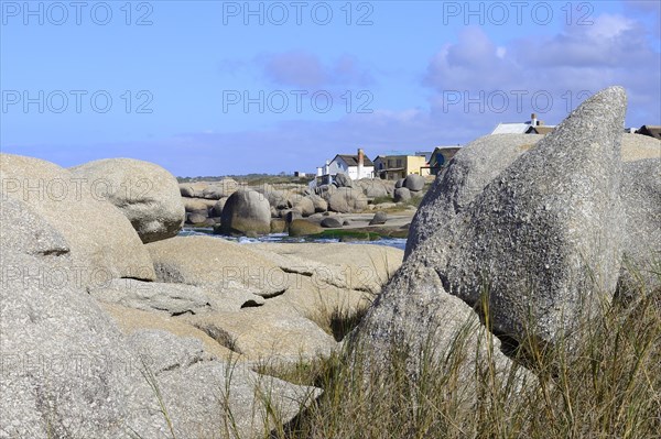 Houses on a rocky coast