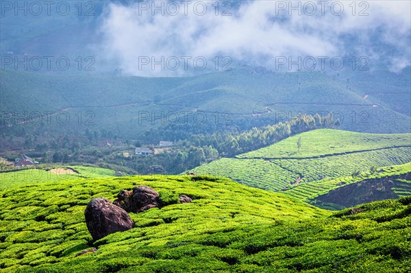 Kerala India travel background - Photo12-imageBROKER-Dmitry Rukhlenko